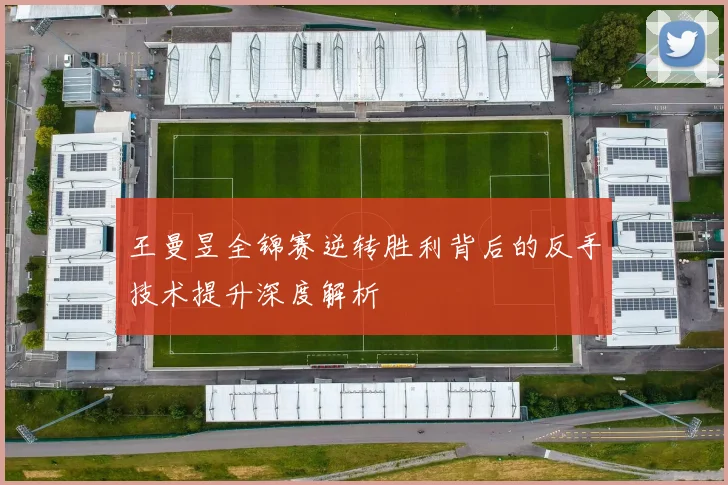 王曼昱全锦赛逆转胜利背后的反手技术提升深度解析