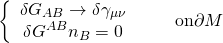 \[\left\{ {\begin{array}{*{20}{c}}{\delta {G_{AB}} \to \delta {\gamma _{\mu \nu }}}\\{\delta {G^{AB}}{n_B} = 0}\end{array}} \right.\quad \quad {\rm{on }}\partial M\]