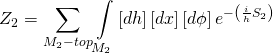 \[{Z_2} = \sum\limits_{{M_2} - top} {\int\limits_{{M_2}} {\left[ {dh} \right]} } \left[ {dx} \right]\left[ {d\phi } \right]{e^{ - \left( {\frac{i}{h}{S_2}} \right)}}\]