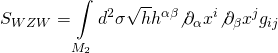 \[{S_{WZW}} = \int\limits_{{M_2}} {{d^2}} \sigma \sqrt h {h^{\alpha \beta }}{\not \partial _\alpha }{x^i}{\not \partial _\beta }{x^j}{g_{ij}}\]