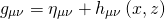 \[{g_{\mu \nu }} = {\eta _{\mu \nu }} + {h_{\mu \nu }}\left( {x,z} \right)\]