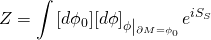 \[Z = \int {\left[ {d{\phi _0}} \right]} {\left[ {d\phi } \right]_{\phi \left| {_{\partial M = {\phi _0}}} \right.}}{e^{i{S_S}}}\]