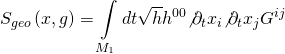 \[{S_{geo}}\left( {x,g} \right) = \int\limits_{{M_1}} {dt} \sqrt h {h^{00}}{\not \partial _t}{x_i}{\not \partial _t}{x_j}{G^{ij}}\]