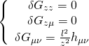 \[\left\{ {\begin{array}{*{20}{c}}{\delta {G_{zz}} = 0}\\{\delta {G_{z\mu }} = 0}\\{\delta {G_{\mu \nu }} = \frac{{{l^2}}}{{{z^2}}}{h_{\mu \nu }}}\end{array}} \right.\]