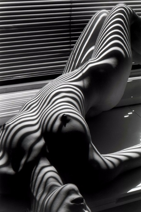 Lucien Clergue, Nu zebré, @artsy